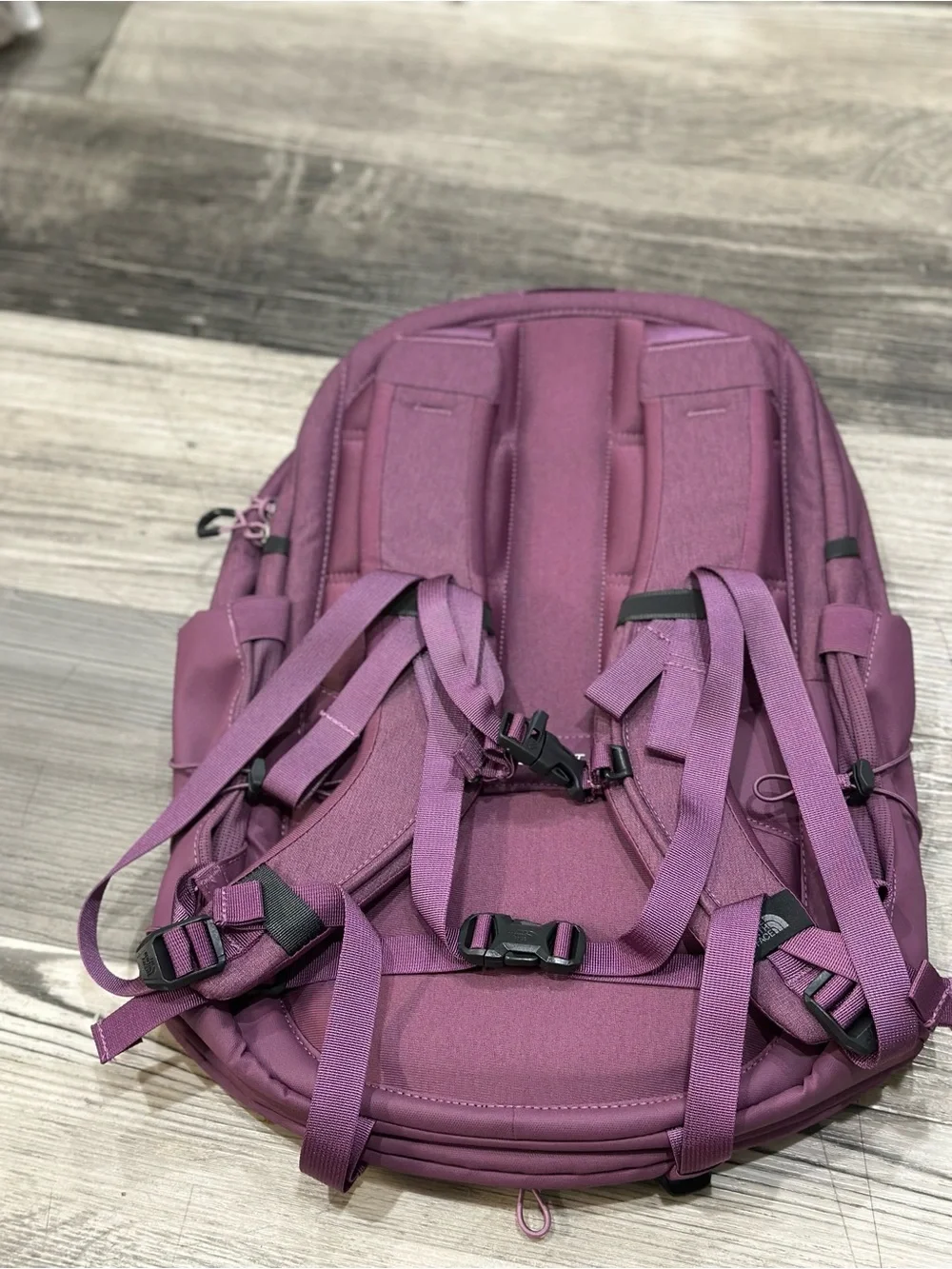 The North Face north face